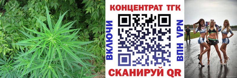 ТГК THC oil  omg онион  Агрыз 