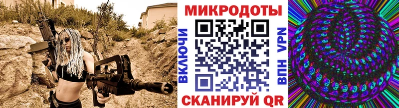 Псилоцибиновые грибы Cubensis Агрыз